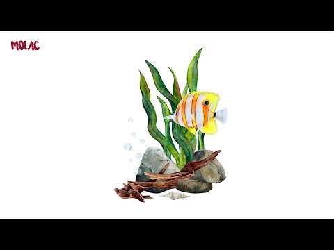 The Soulcast 035 with Molac