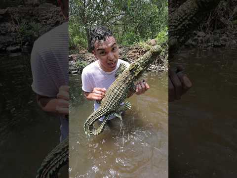 ME SALIO UN COCODRILO #comedia