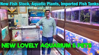 New Aquarium Fish Stock & Aquatics Plants in New Lovely Aquarium & Pets