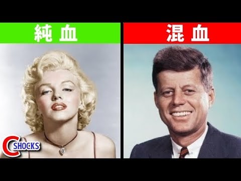 アルファドラコニスについて詳しく解説