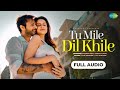 Tu Mile Dil Khile Full Audio Song Stebin Ben Asees Kaur Larissa B Lijo G Dj Chetas