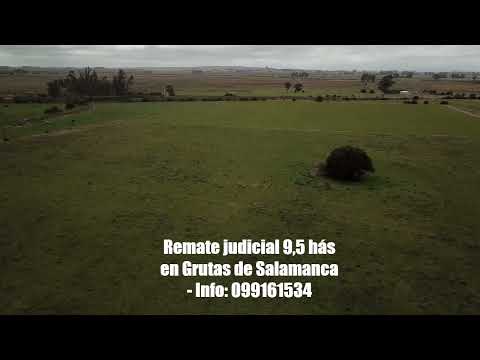 Remate Judicial campo en Grutas de Salamanca-Maldonado