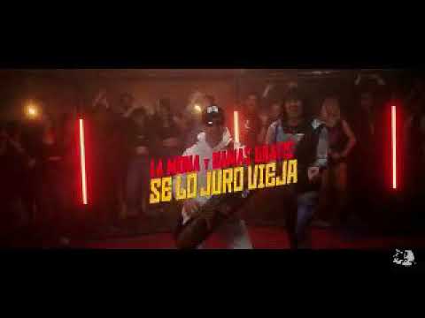 la mona y damas gratis - se lo juro vieja