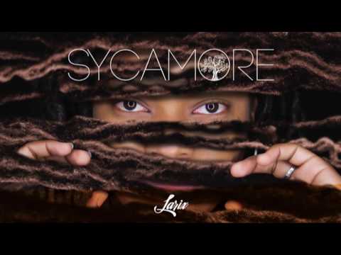 Sycamore by Larix
