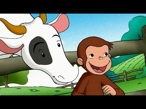 George ama le mucche 🐵 Curioso Come George 🐵 Cartoni per Bambini