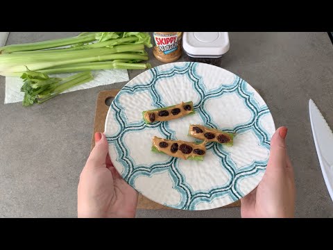 Ants on a Log Recipe Demo