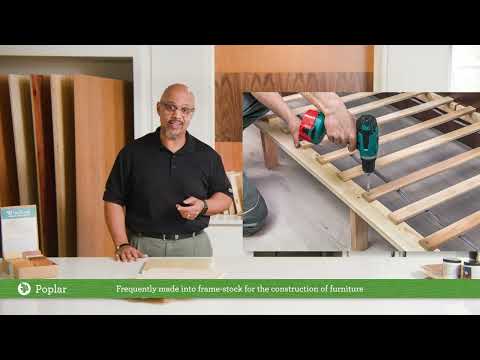 CFP’s Wood Species 101 | Poplar