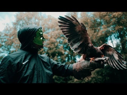 Video thumbnail for Solang die Vögel zwitschern gibt’s Musik