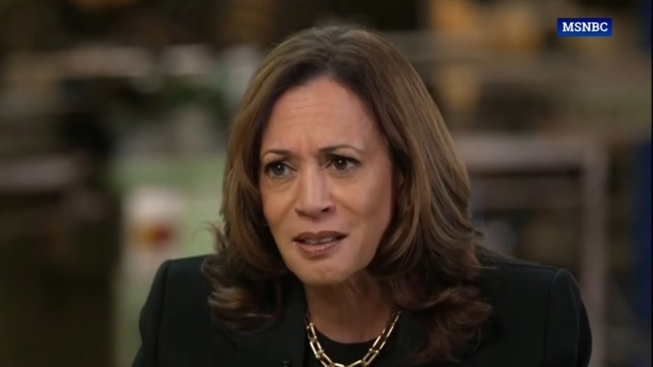 ‘Nonsensical sentences’: Kamala’s old habits reappear in MSNBC interview