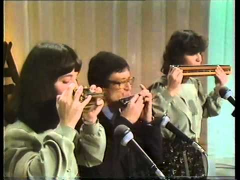 Mendes Harmónica Trio - Tico Tico no Fubá