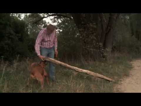 Mijn010 - Jan de Hoop