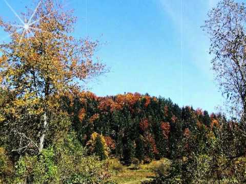 Sretoh devojče, iz banju ide - Vidak Milačić