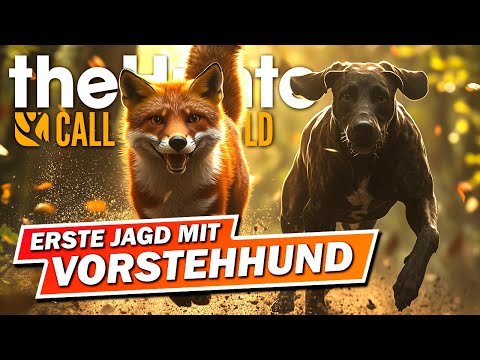 Wir Jagen mit dem VORSTEHHUND im Norden Deutschlands! Call of the Wild -Salzwiesen Park Early Access