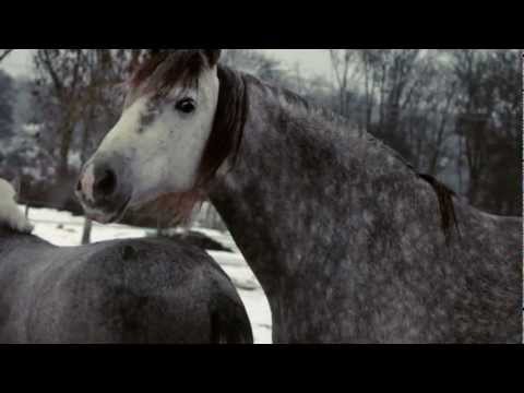 Things We Left Behind video