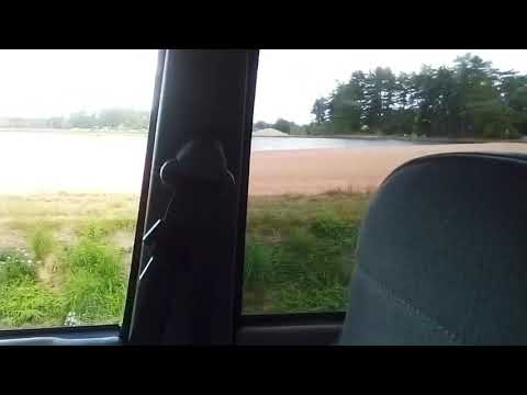 Cranberry bogs in Carver, Ma