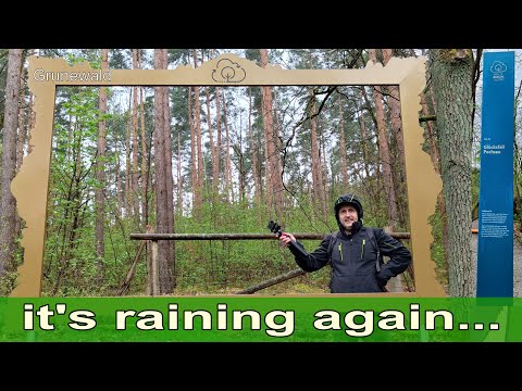 Wer hätte das erwartet? Informative Wanderung im Grunewald.