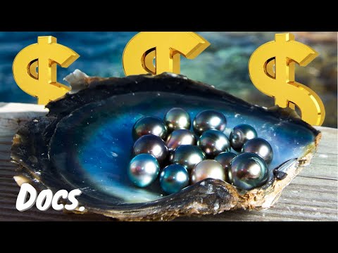 Por que as PÉROLAS são TÃO CARAS? // $159M de reais por 1 COLAR!!