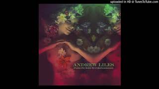 Andrew Liles - A Musty Smell on Jermyn Street (version)