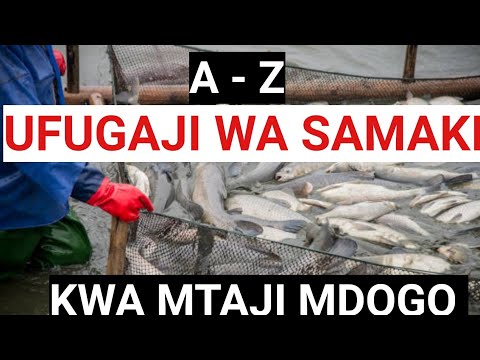 FISH FARMING WITH SMALL CAPITAL - Full Class