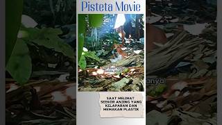 Download lagu Pria ini langsung memberikan makanan kepada seekor anjing yang kelaparan #shorts #anjing mp3