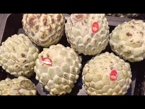 fruit vedio #youtube #sortsvedio#viral gufran naikot🍈🍉🍊🍋🍍🍍🍓🍒🍑🍐🍏🍇🥝🫒🥥