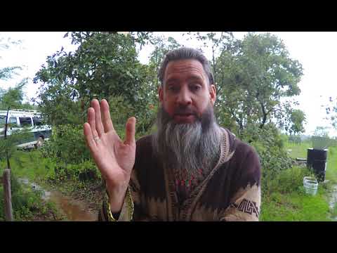 Cultural appropriation