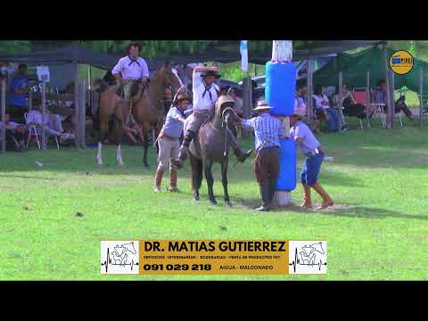 37.ª Fiesta Criolla de Sociedad Nativista La Mariscala - SABADO