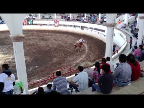 Mauricio Pichon Ríos campeonato del estado de Querétaro 2013 (Lienzo Manuel Ordóñez )