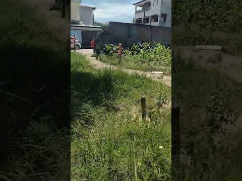 horta orgânica do bairro São João São Pedro da Aldeia RJ