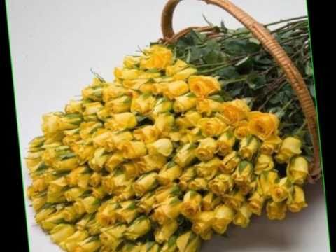 La Multi Ani!!! Bogdana