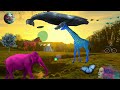 Strawberry Fields Forever - A short film by Indigo Daydream