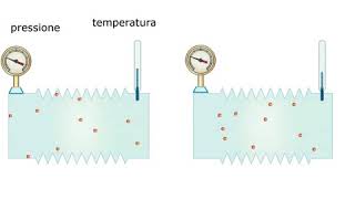 Lz ZT C06 6.5 - Leggi dei gas - Video Zanichelli