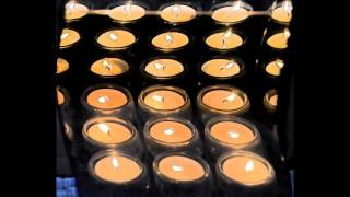 Elon and the False Notes - Feel Flows