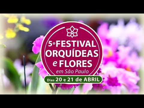 5º Festival de Orquídeas e Flores em São Paulo (SP)