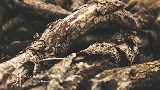 Alyx Ander - Wake Up For The Night ft. Caroline Pennell