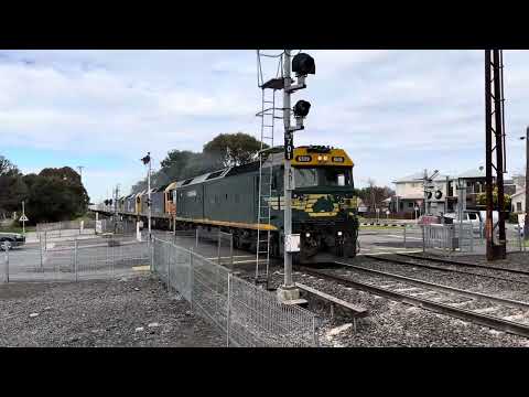 Pacific National 9702V G539-G519-BL27-BL26 At spotswood