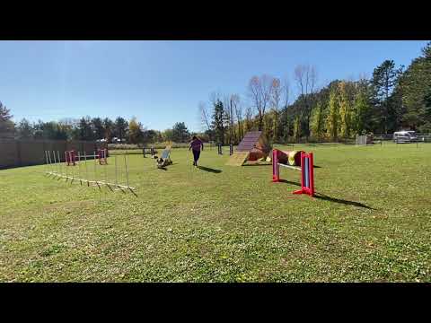 Sticks biathlon standard C2