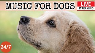 [LIVE] Dog Music🎵Calming Music for Dog Deep Sleep🐶💖Separation Anxiety Music for Dog Relaxation🔴 7