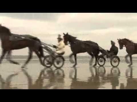 READY CASH    PREPARATION POUR LE PRIX AMERIQUE 2013 PARIS VINCENNES 27.01.2013