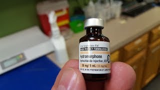 Misuse of painkillers can hurt your pet