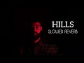 AP DHILLON: HILLS ( SLOWED + REVERB) |AP dhillon new song |Shinda