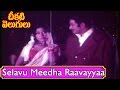 Selavu Meedha Raavayyaa Video Song Cheekati Velugulu Movie Songs Krishna Vanisri V9videos