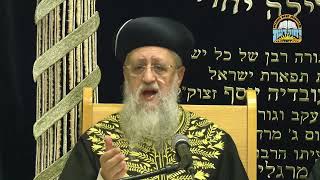 מי השלים את חיבור הספר ＂כף החיים＂ I מרן הראשון לציון הגאון רבי דוד יוסף שליט＂א אדר תשפ"ו (רבנים שונים) - התמונה מוצגת ישירות מתוך אתר האינטרנט יוטיוב. זכויות היוצרים בתמונה שייכות ליוצרה. קישור קרדיט למקור התוכן נמצא בתוך דף הסרטון