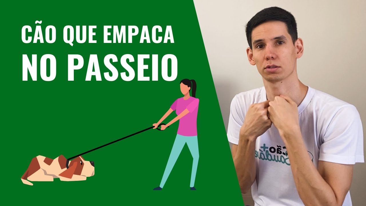 CACHORRO NÃO QUER ANDAR NO PASSEIO E FICA EMPACANDO
