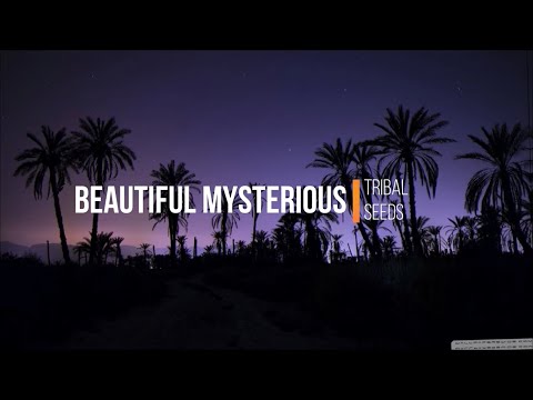 Beautiful Mysterious - Tribal Seeds (Lyrics)