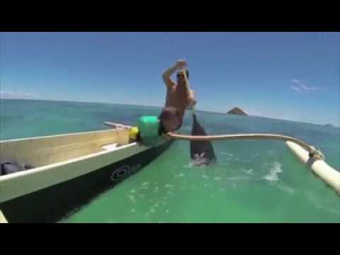 Nur Väter haben solche atemberaubenden Reflexe