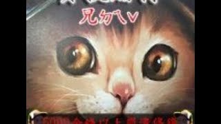 Warcraft III [買技賭博] 以為自己強無敵 一不留神就GG