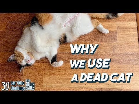 Why we use dead cats 🐈