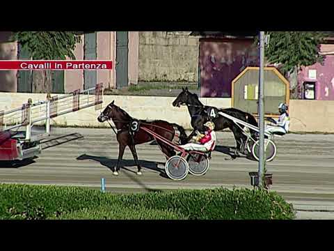 Aversa trotto 26 Settembre 2020 - 6° Corsa