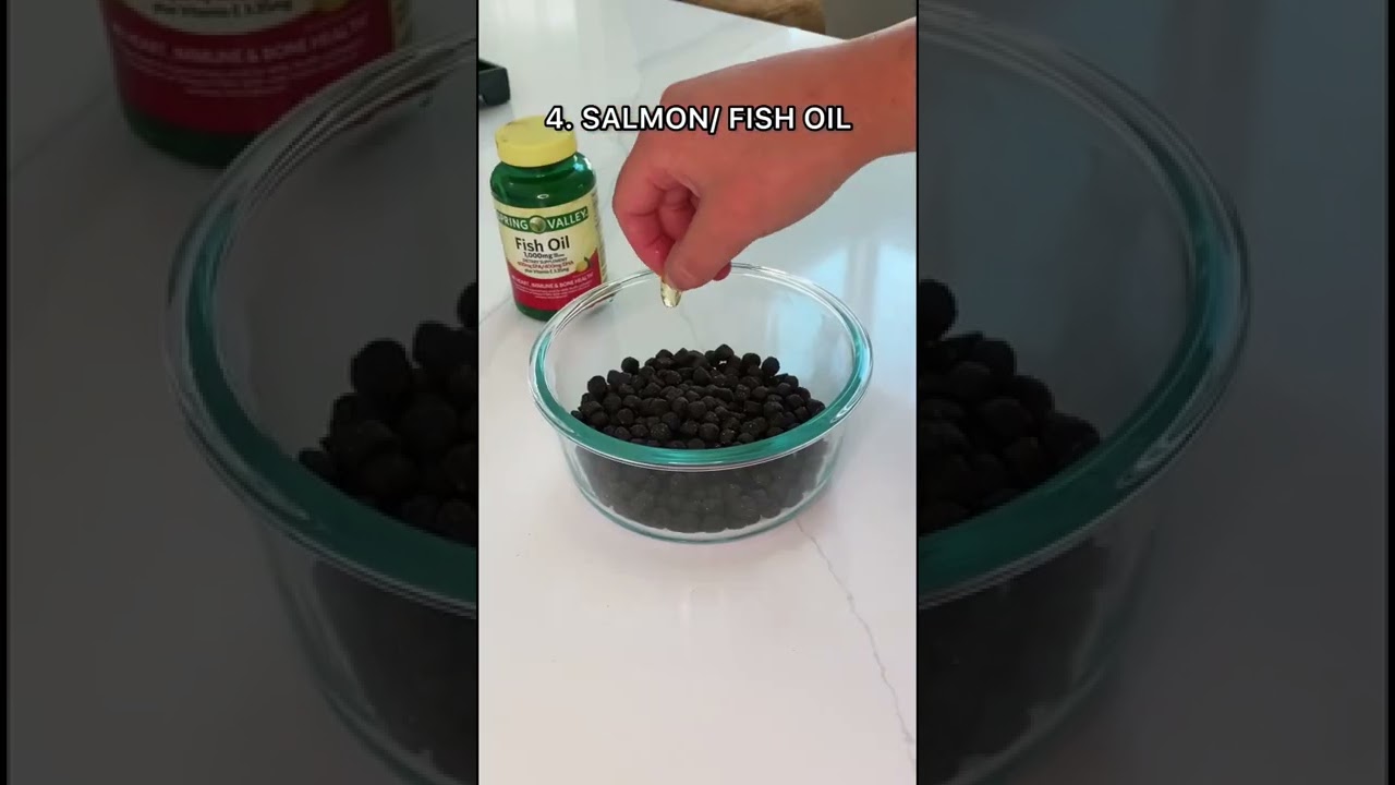 Watch video 5 Best Foods for your Dogs Skin & Coat 🐶🐾 #dogs #puppy #dogsofyoutube #puppiesofyoutube #doghealth Now 5 Best Foods for your Dogs Skin & Coat 🐶🐾 #dogs #puppy #dogsofyoutube #puppiesofyoutube #doghealth